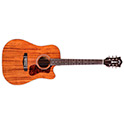Horizontal front view of D-120CE acoustic guitar thumbnail