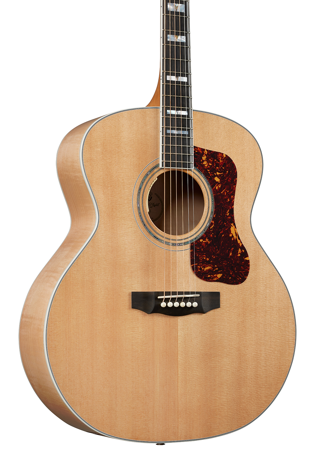 Horizontal close up body view of F-55E Maple Natural