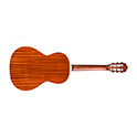 Horizontal back view of Westerly P-240 Memoir Natural guitar thumbnail