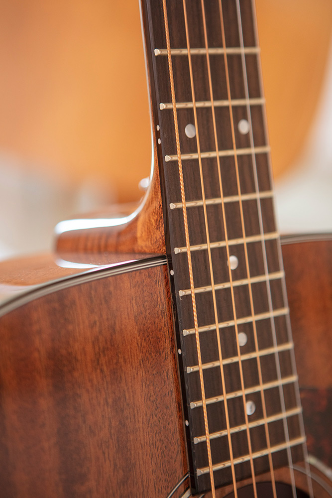 Close up of D-120 neck