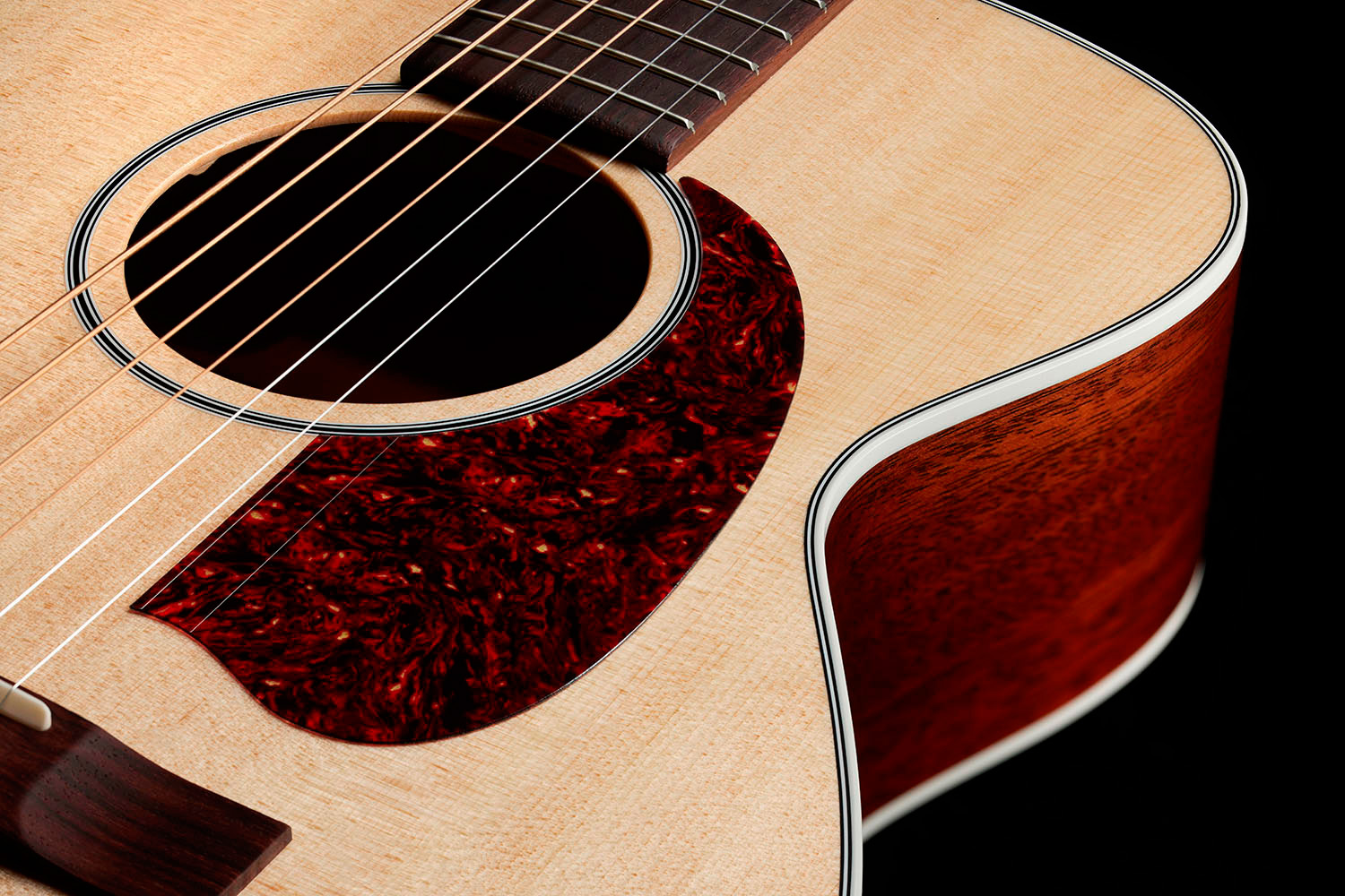 Close-up of M-40 Standard Natural pickguard