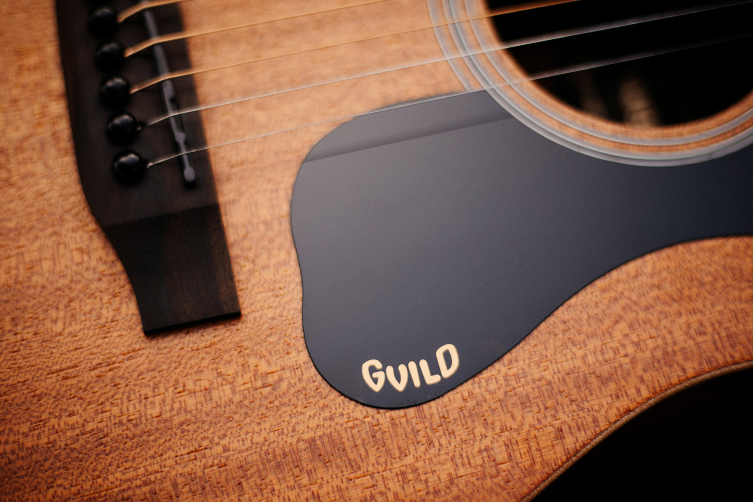 Close up of Travel Mahogany pickguard with Guild logo