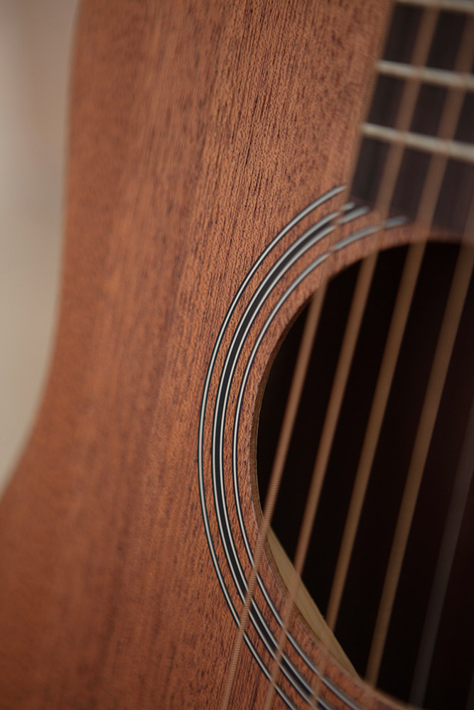 Close up of Travel Mahogany rosette